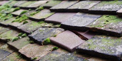 Rodmell roof repair costs